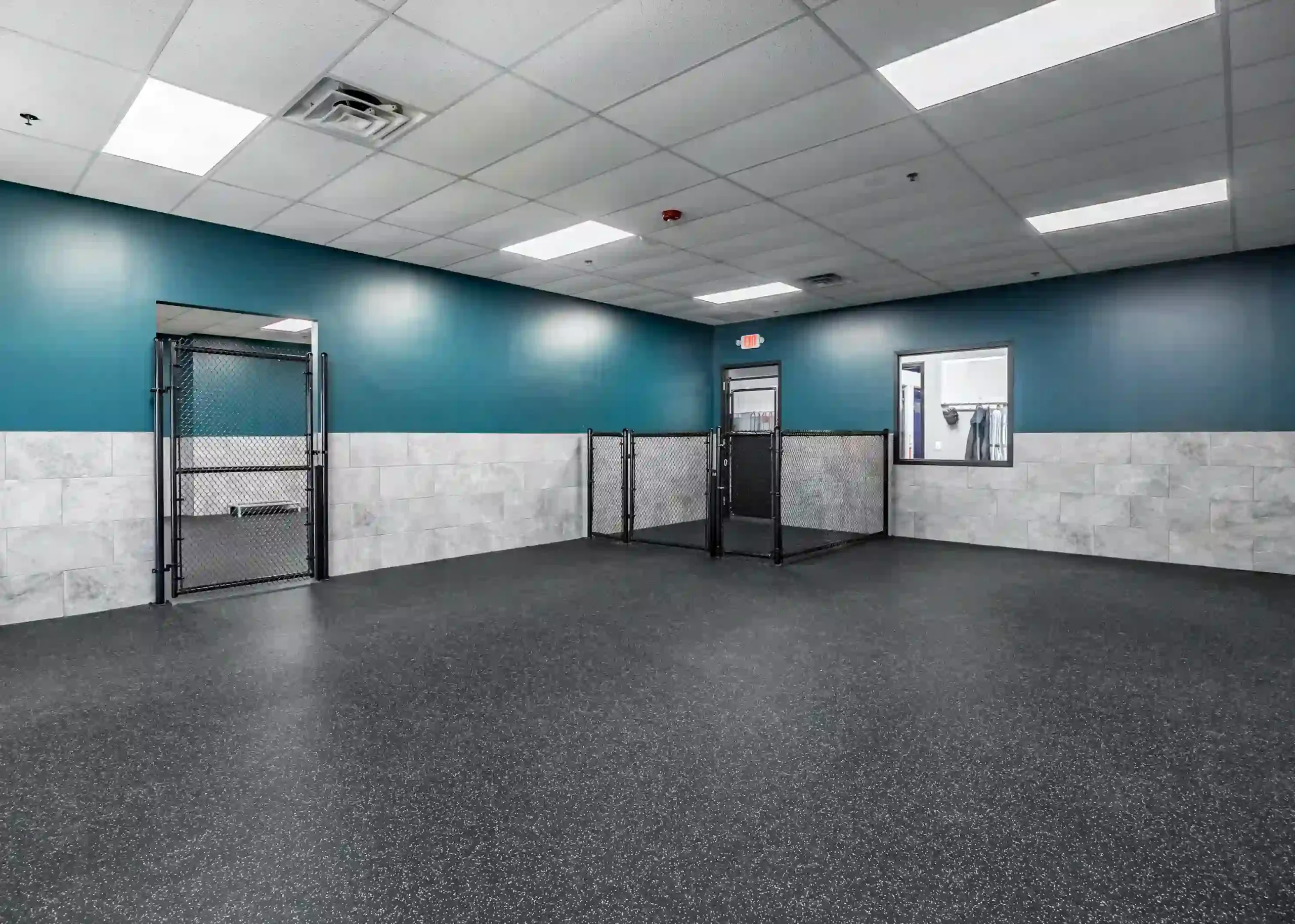 training room for the dogs